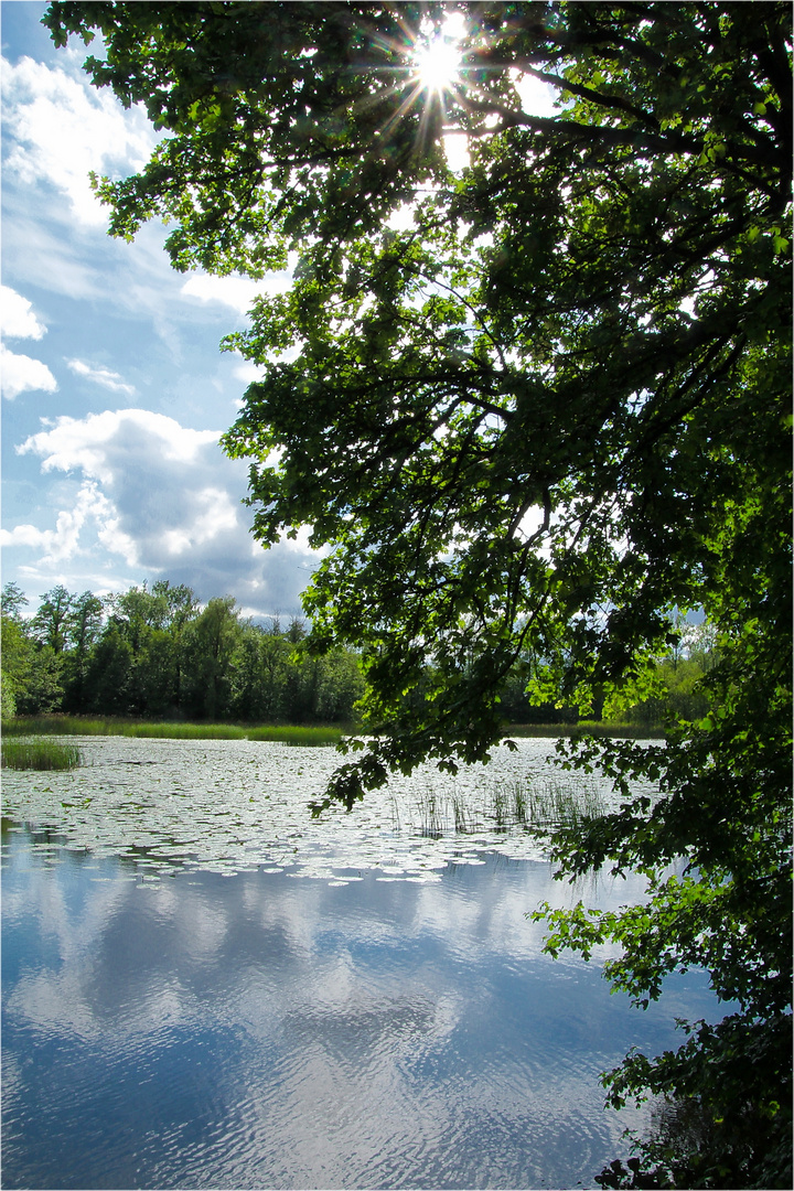 Am See