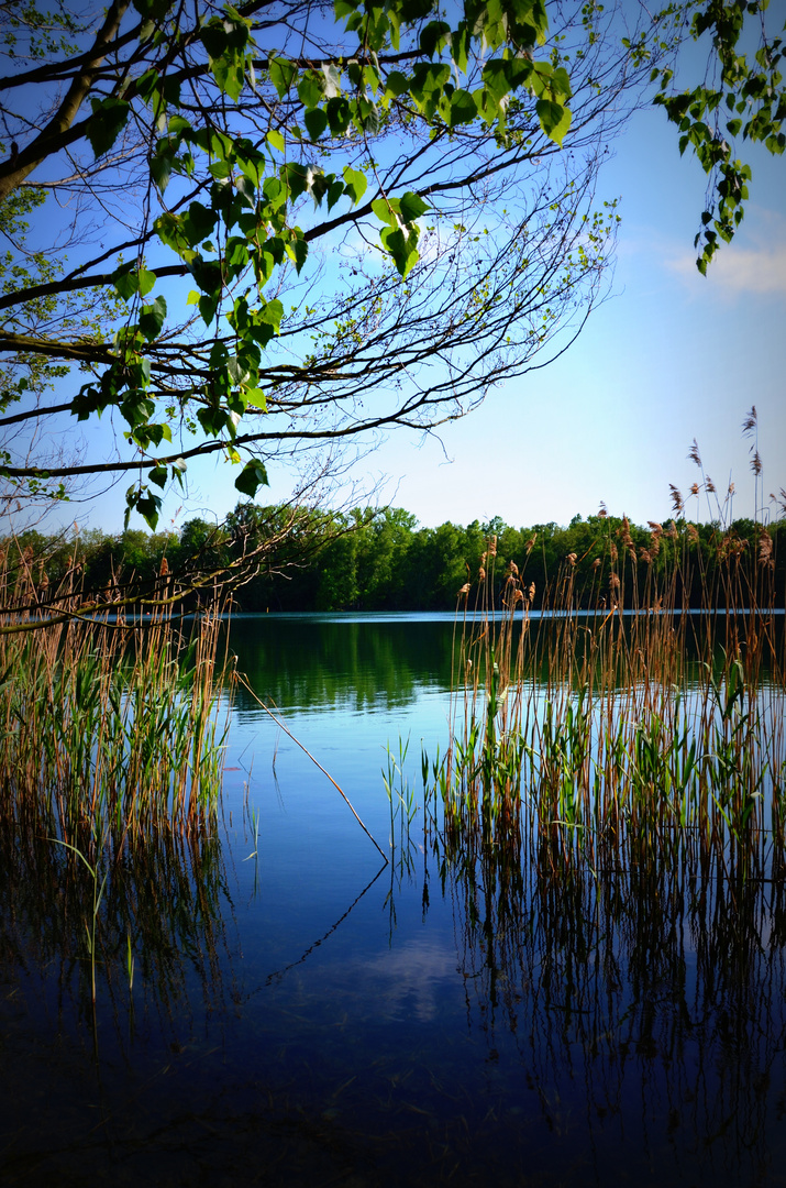 Am See II