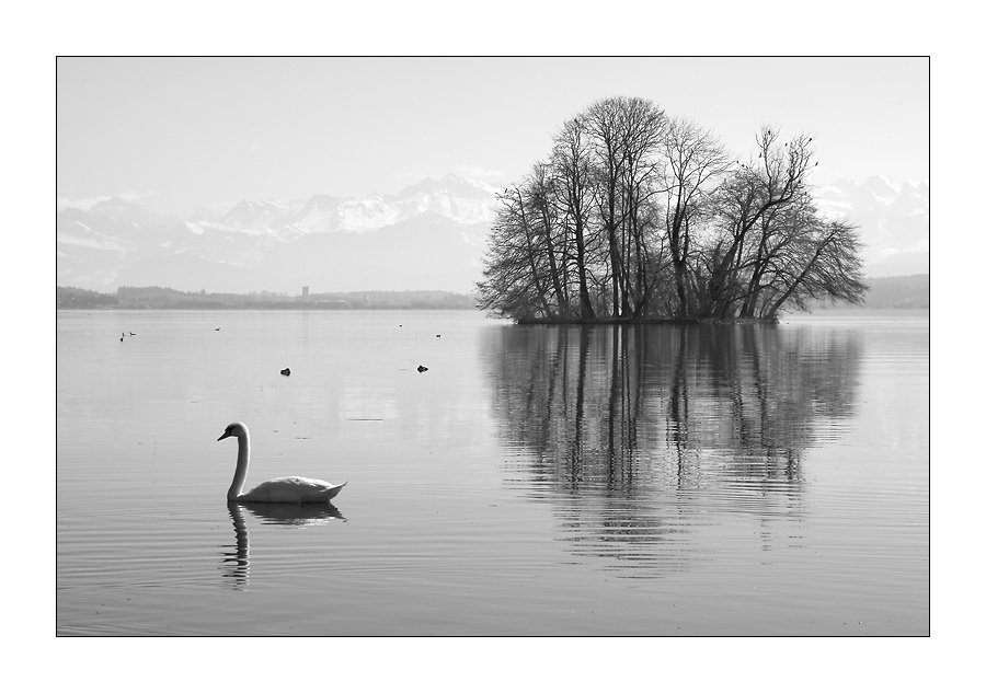 am See III