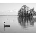 am See III