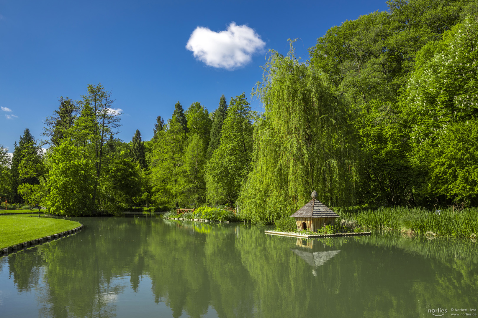 Am See im Botanischen Garten