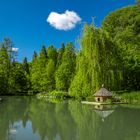 Am See im Botanischen Garten