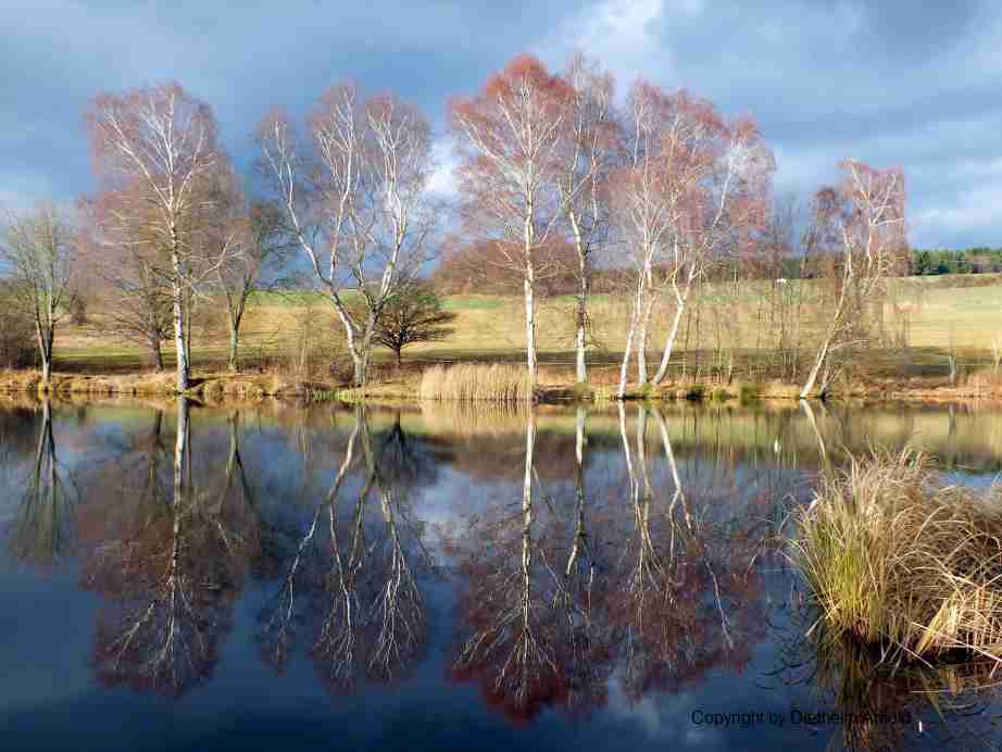 Am See im Herbst