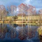 Am See im Herbst