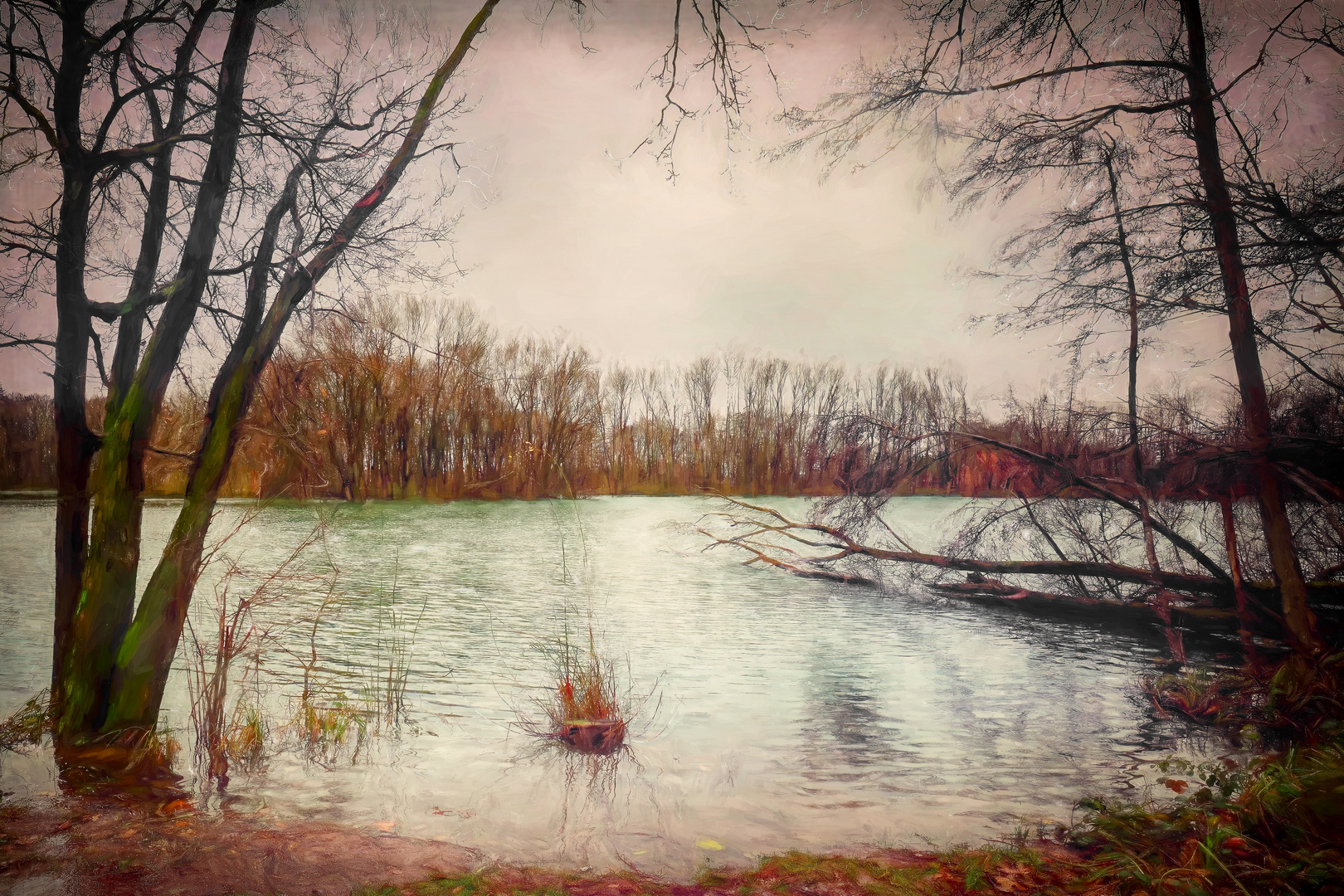 Am See im Regen