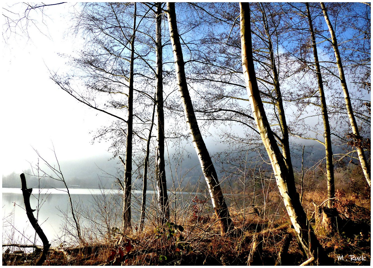 Am See  im winterlichen Licht 