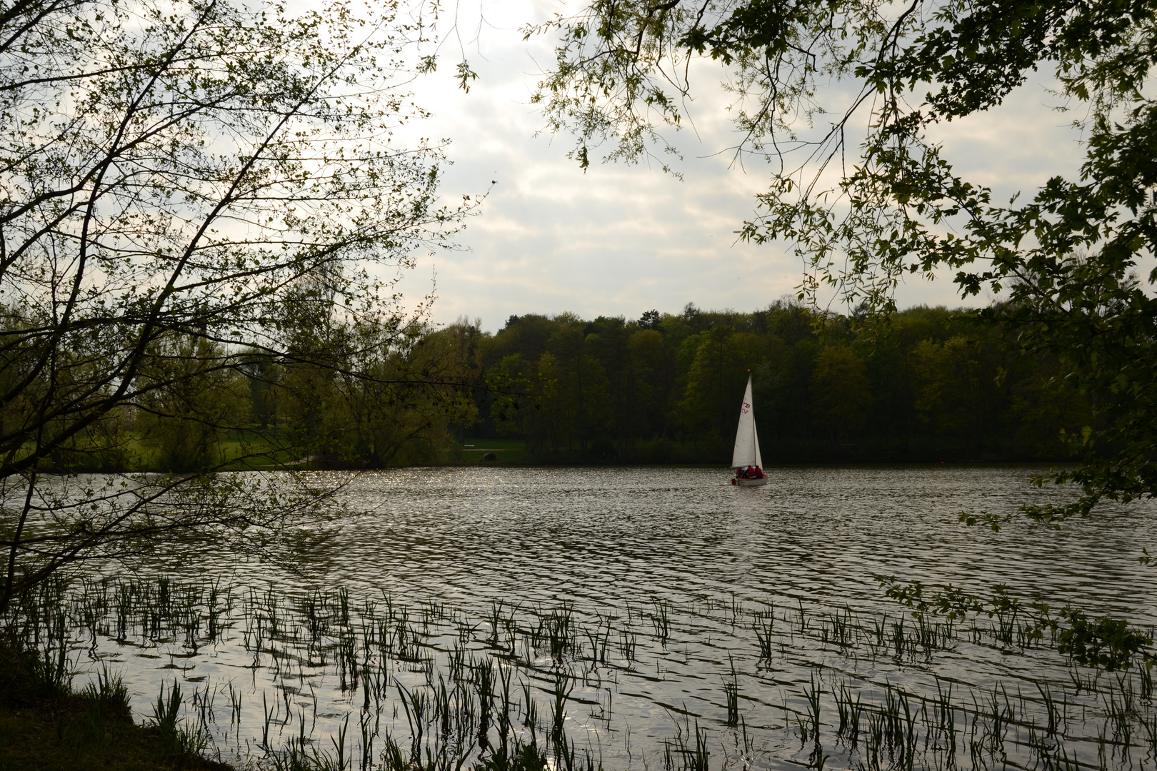 Am See in der Nähe von Göttingen