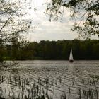 Am See in der Nähe von Göttingen