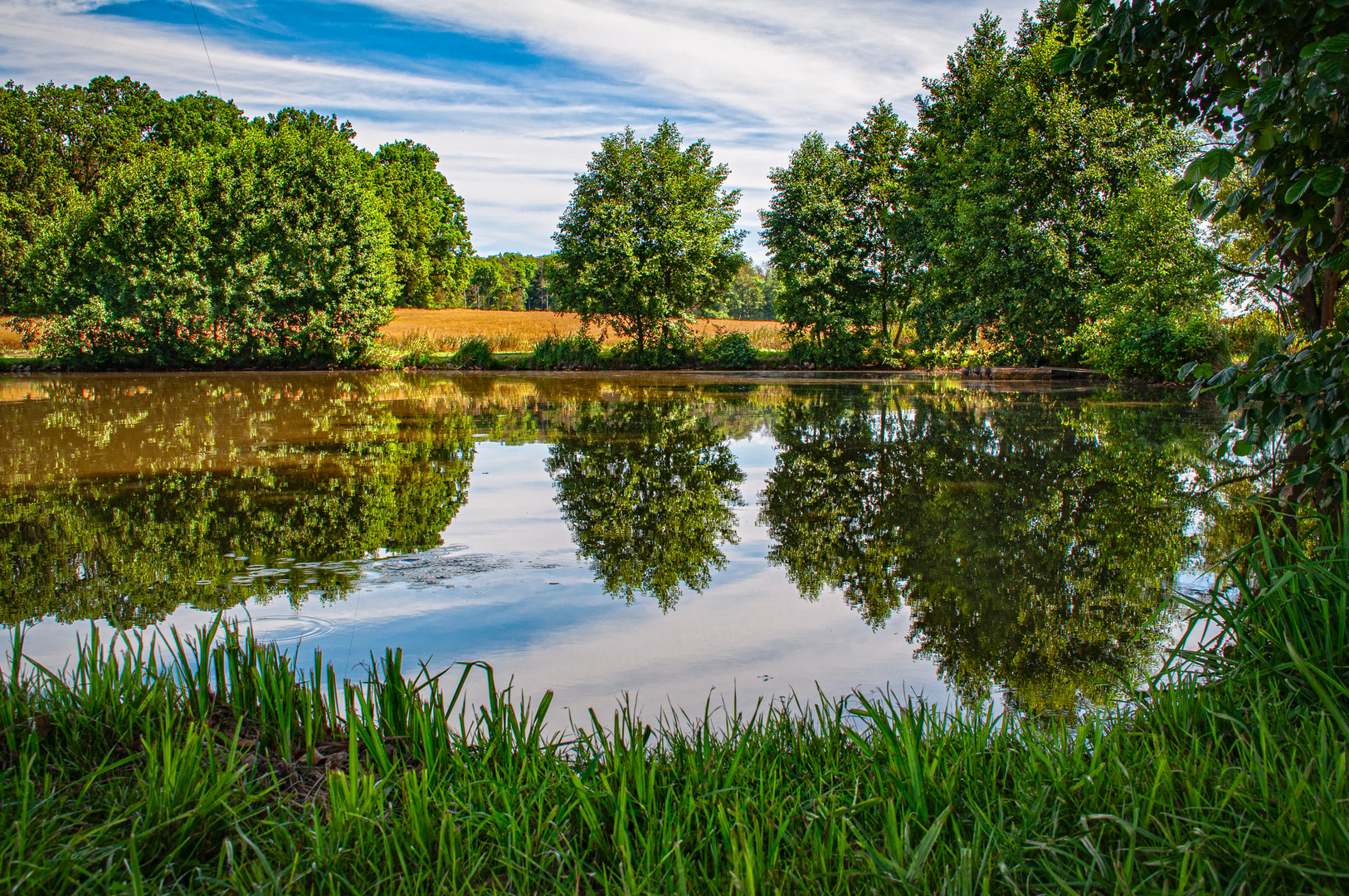 Am See in der Wetterau