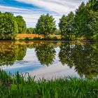 Am See in der Wetterau