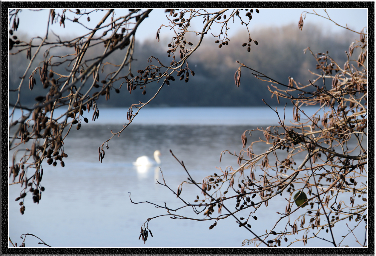 Am See in Oldenburg