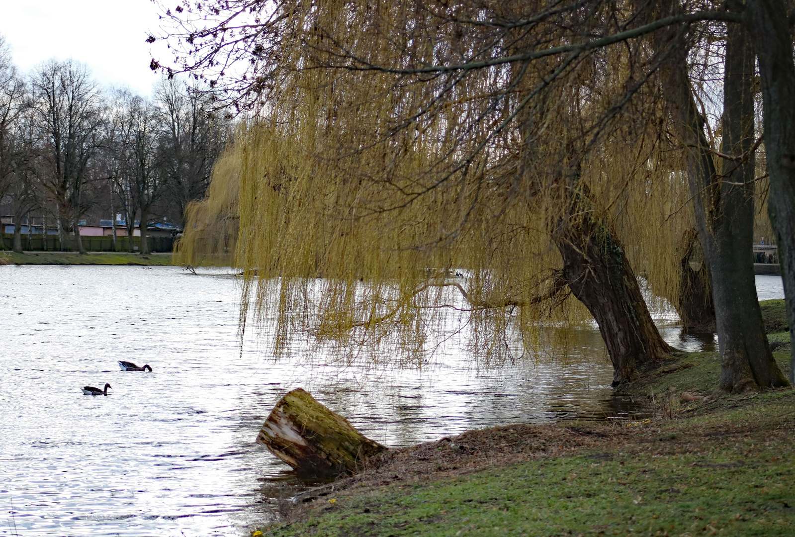 Am See in Stendal