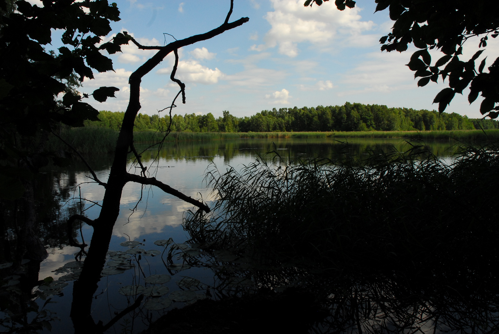 Am See Lezczok in Polen