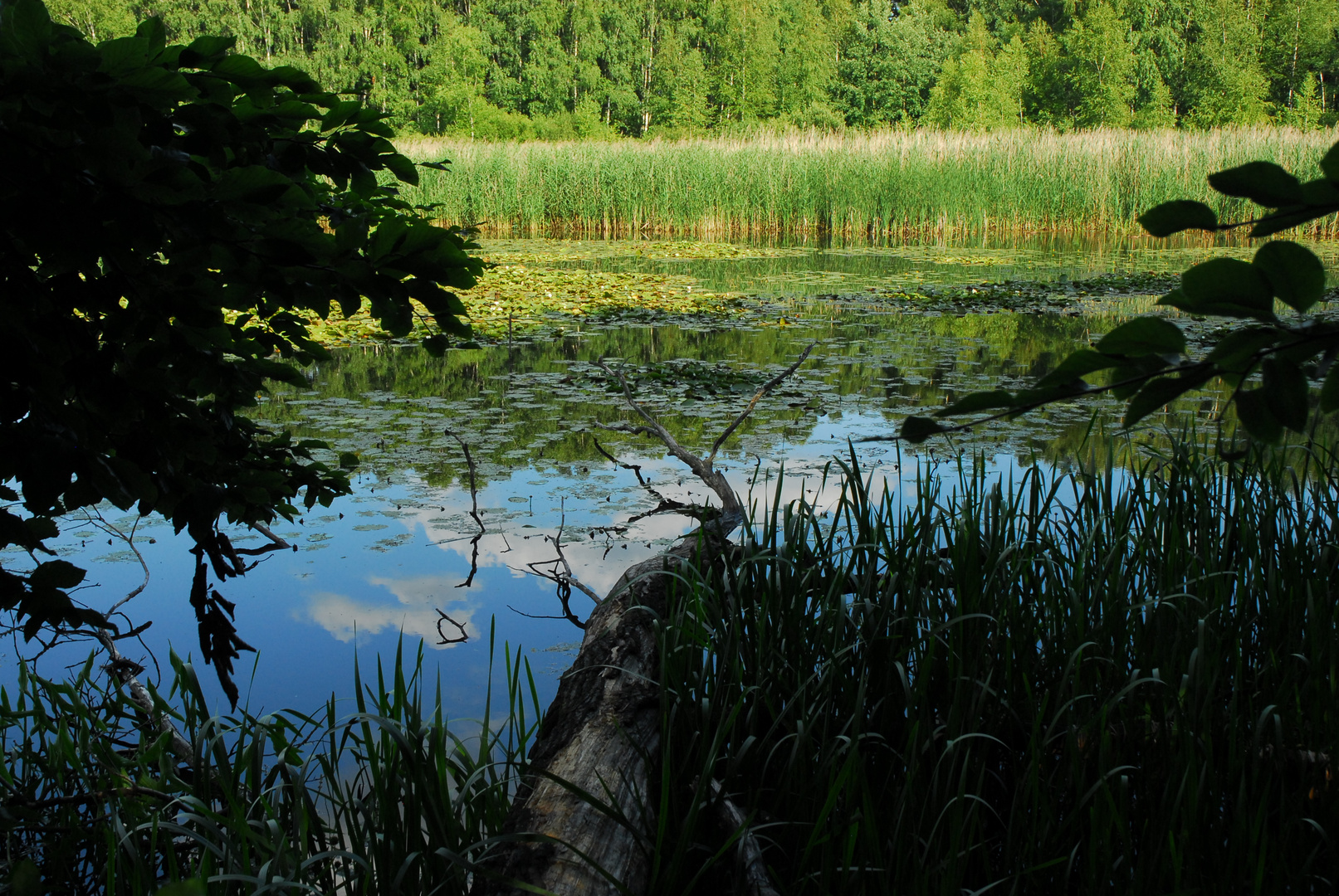 Am See Lezczok in Polen