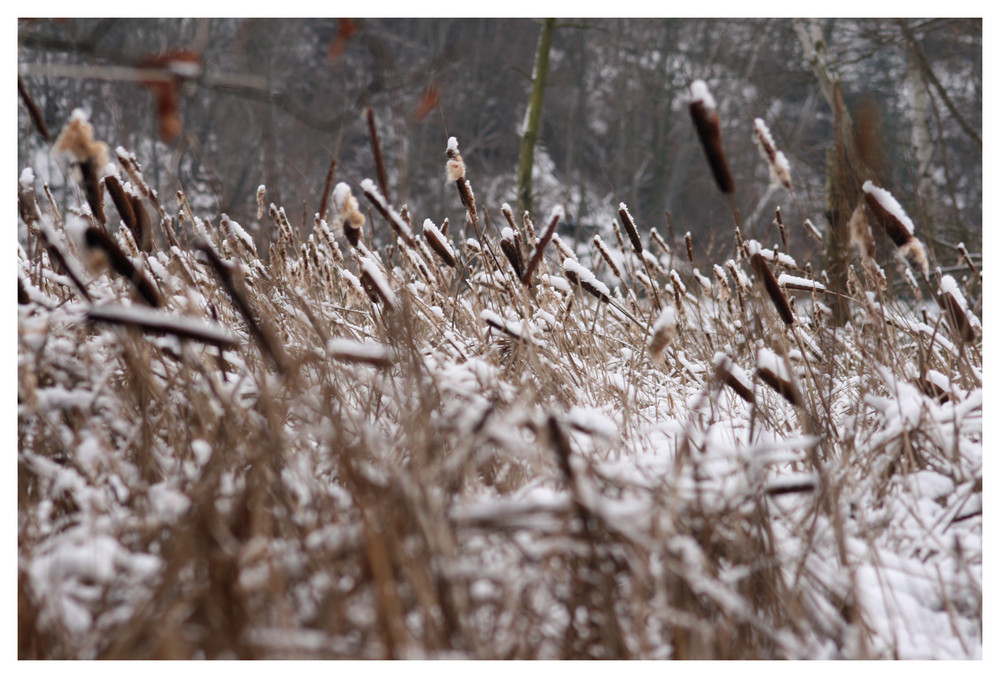 am See mit Schnee...