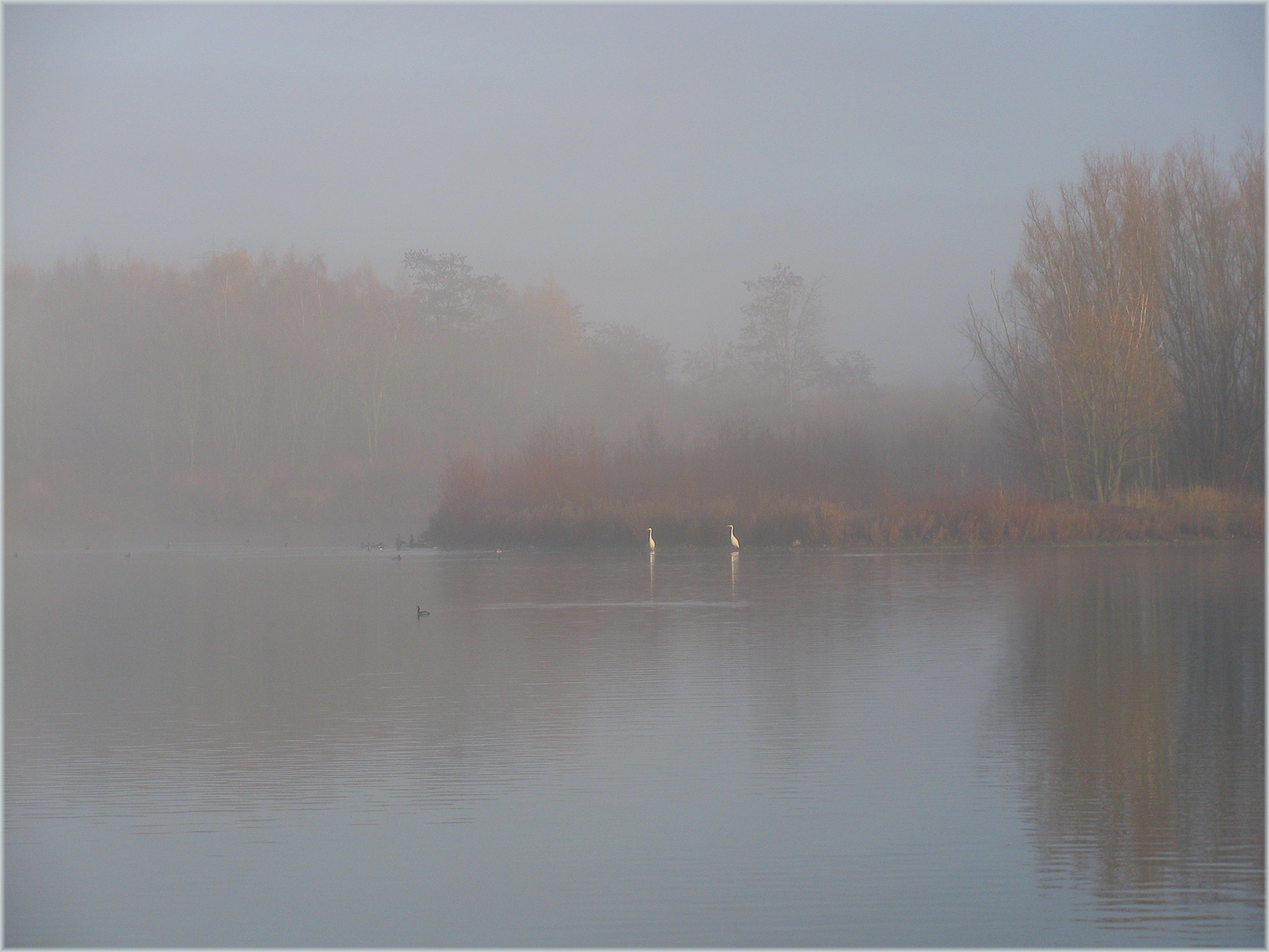 AM SEE - morgens