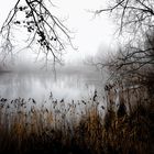 - am see - nebelwelten