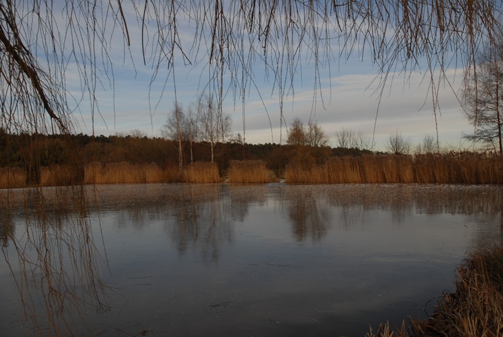 Am See - On the lake