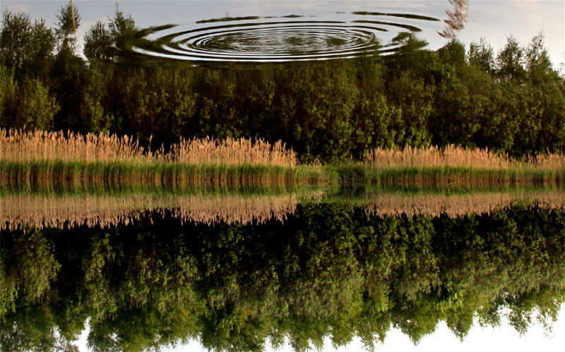 Am See, Perspektive Handstand