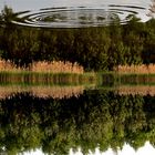 Am See, Perspektive Handstand