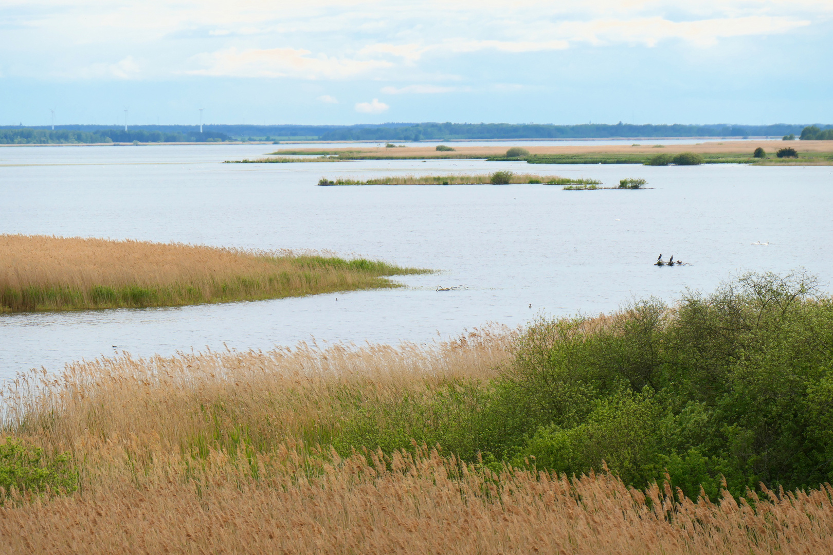 am See Tåkern in Schweden