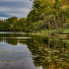 Am See....         und es ist Herbst