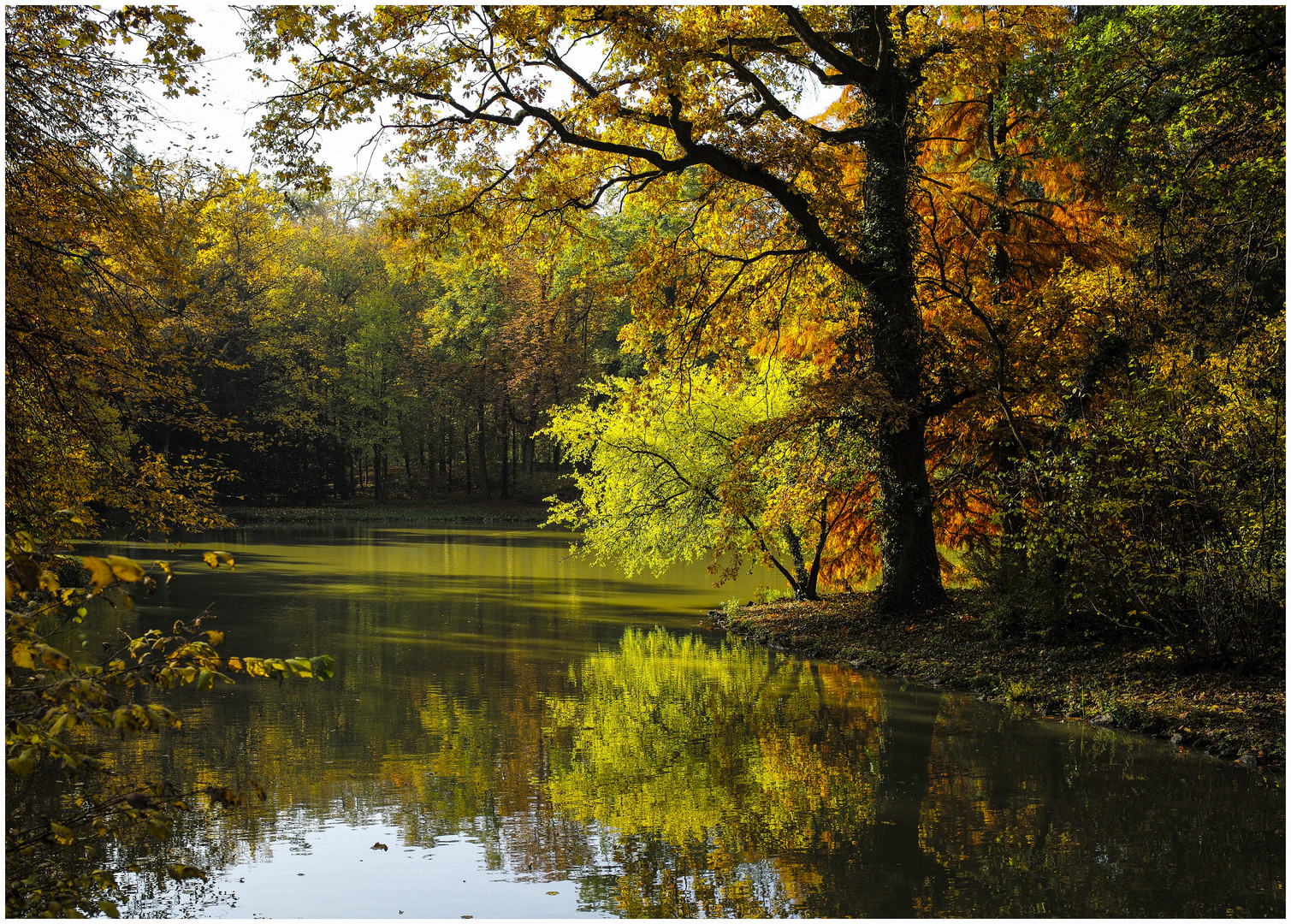 Am See von Schönbusch