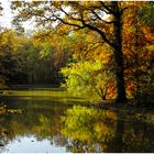 Am See von Schönbusch