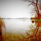 Am See2