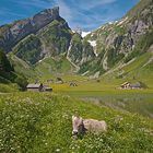 Am Seealpsee