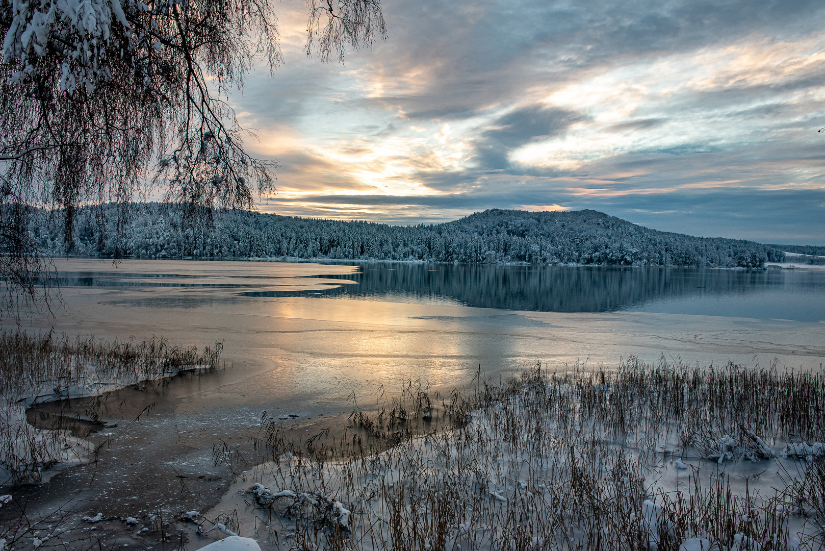 Am Seehamer See