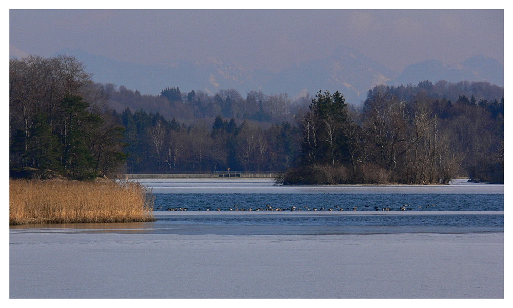 Am Seehamersee ...