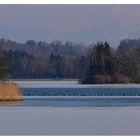 Am Seehamersee ...