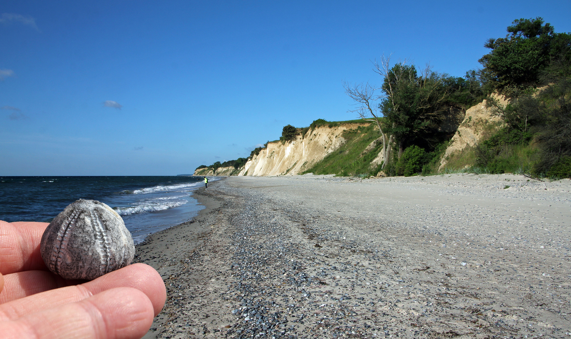 Am Seeigelstrand