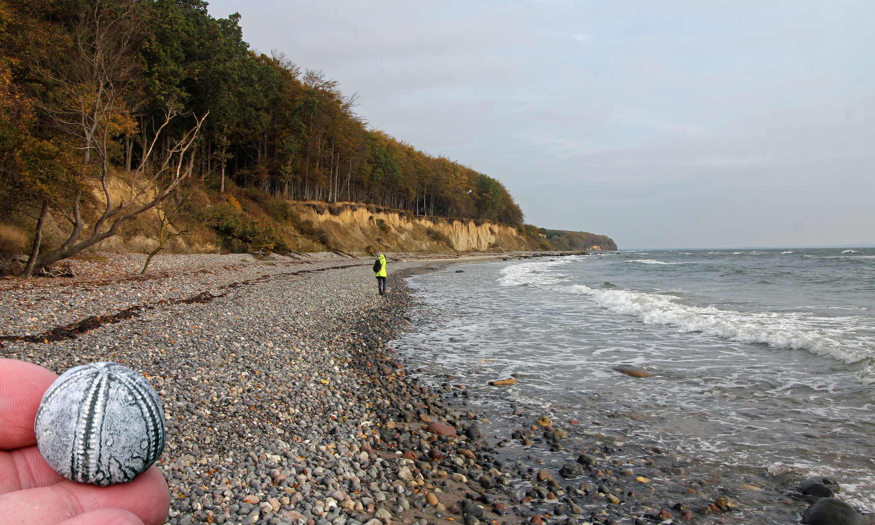 Am Seeigelstrand