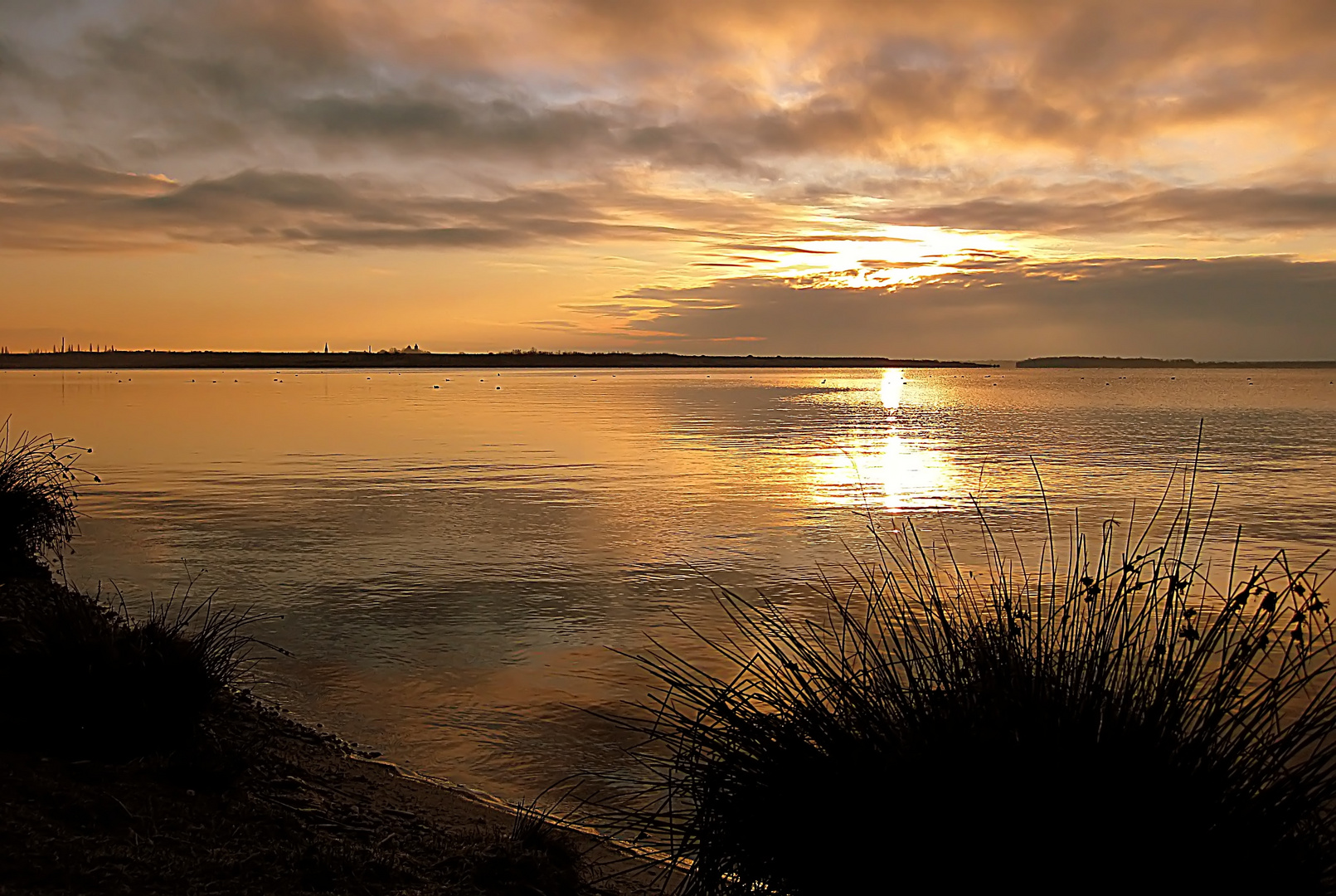 am Seelhausener See