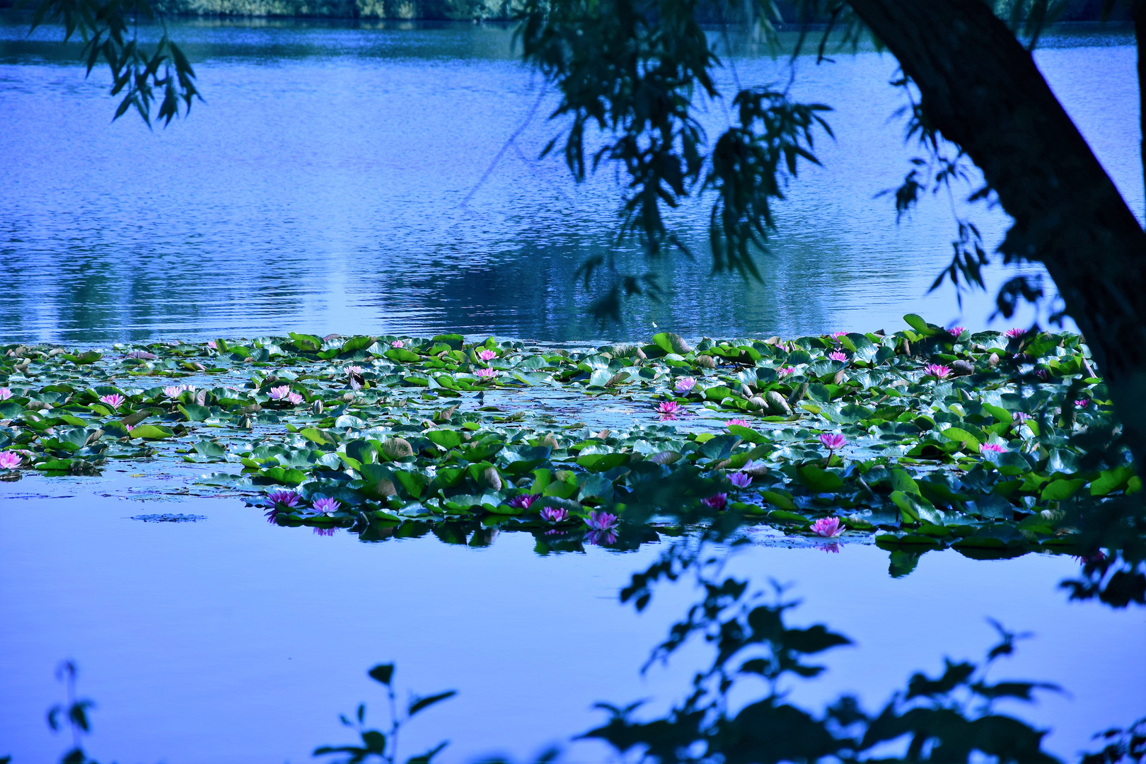 Am Seenpark in Nordenham