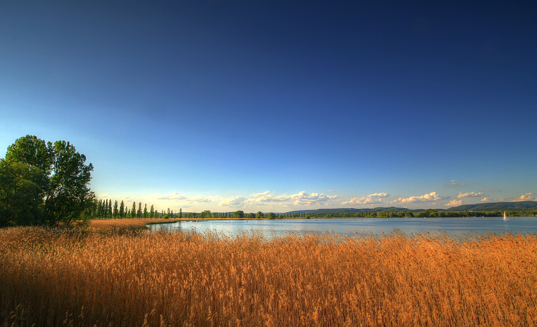 Am Seeufer Foto & Bild | landschaft, bach, fluss & see, see, teich