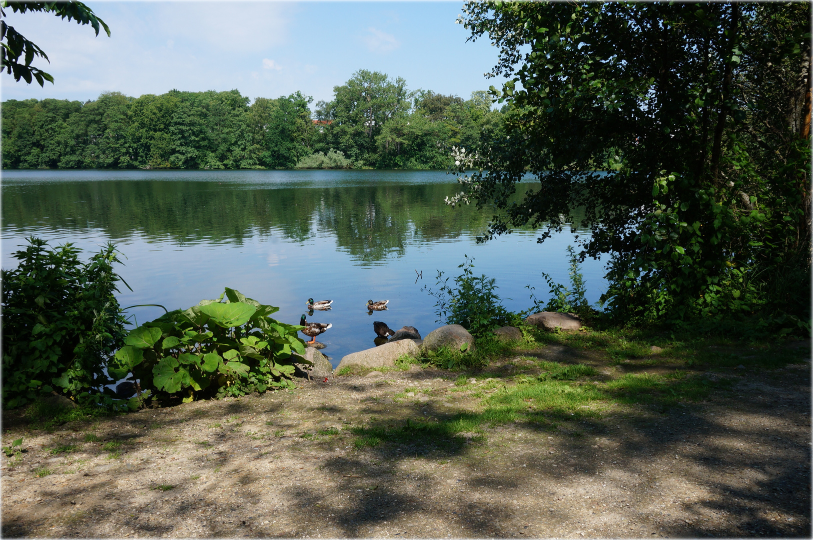 Am Seeufer_03 Foto & Bild | tiere, wildlife, wild lebende vögel Bilder