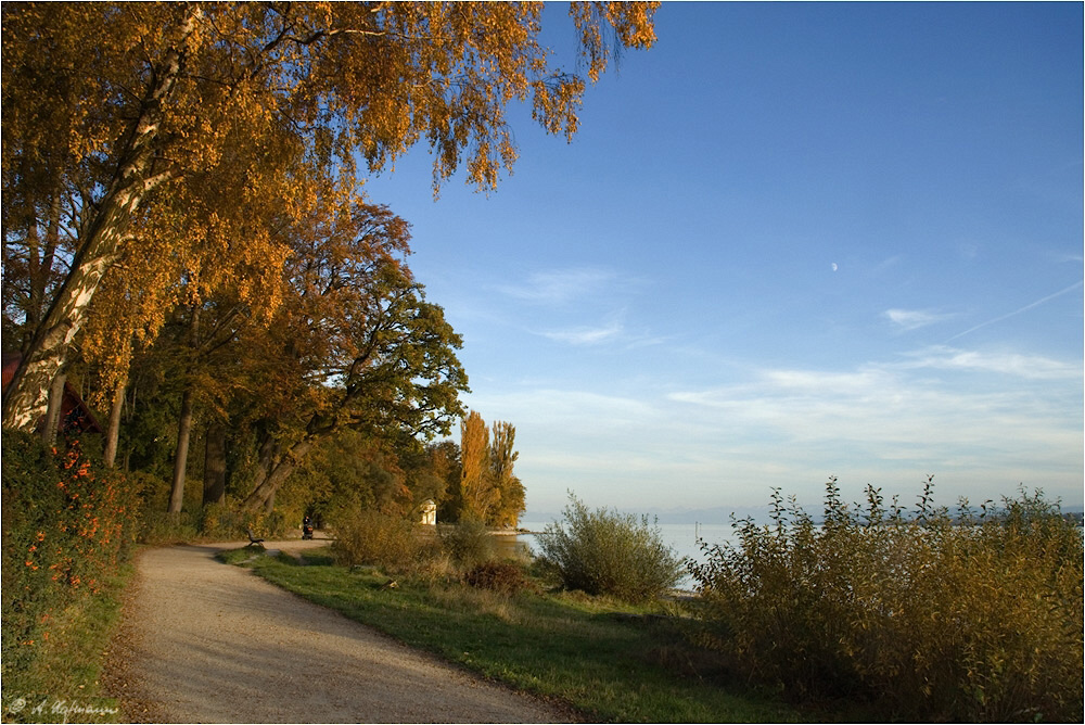 am seeuferweg