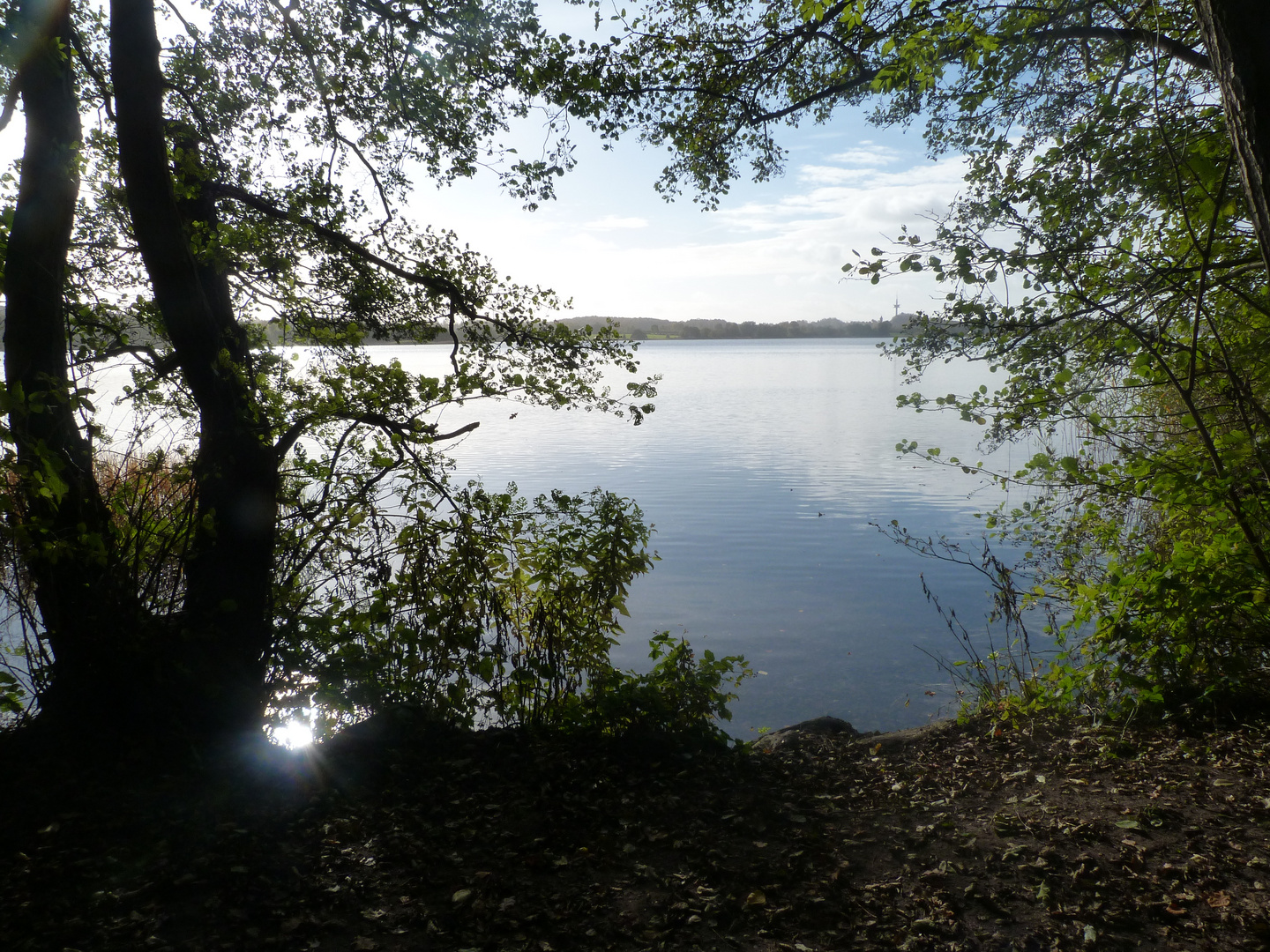 Am Segeberger See