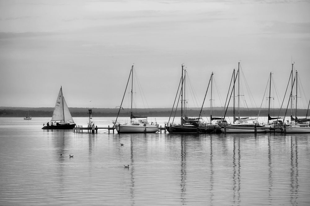 am Seglerhafen...