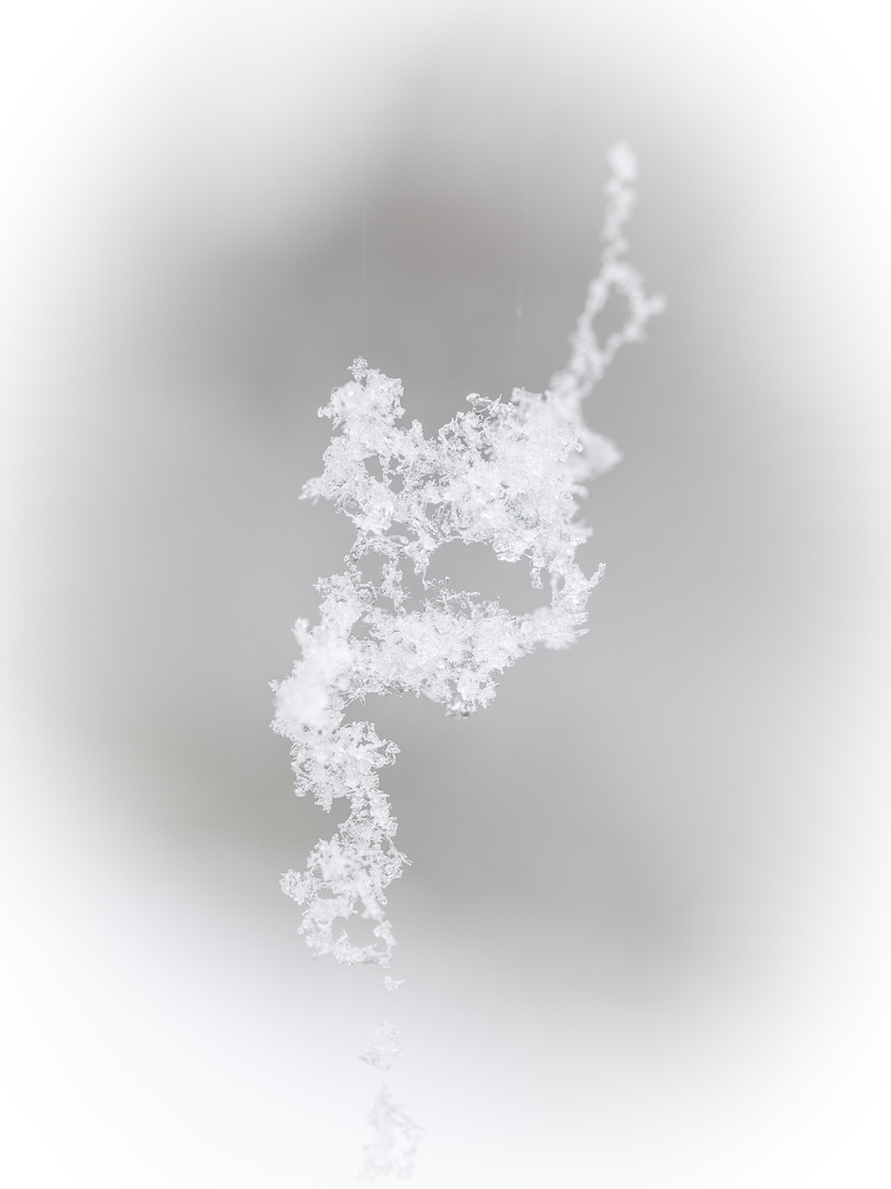 am seidenen Faden Foto & Bild jahreszeiten, winter, eifel Bilder auf