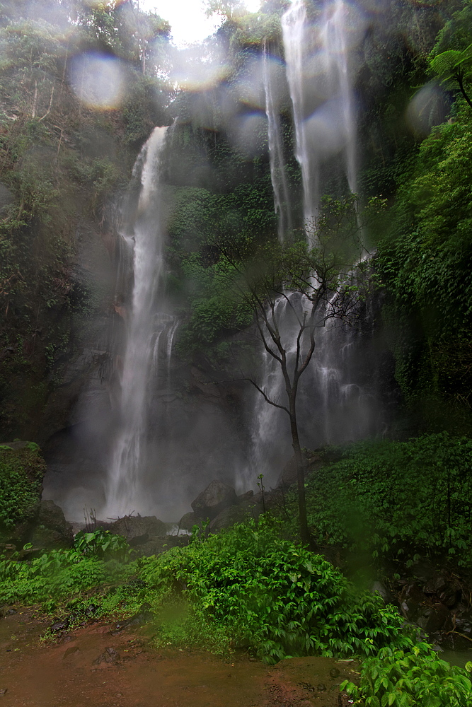 Am Sekumpul Wasserfall - Nordbali