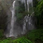 Am Sekumpul Wasserfall - Nordbali