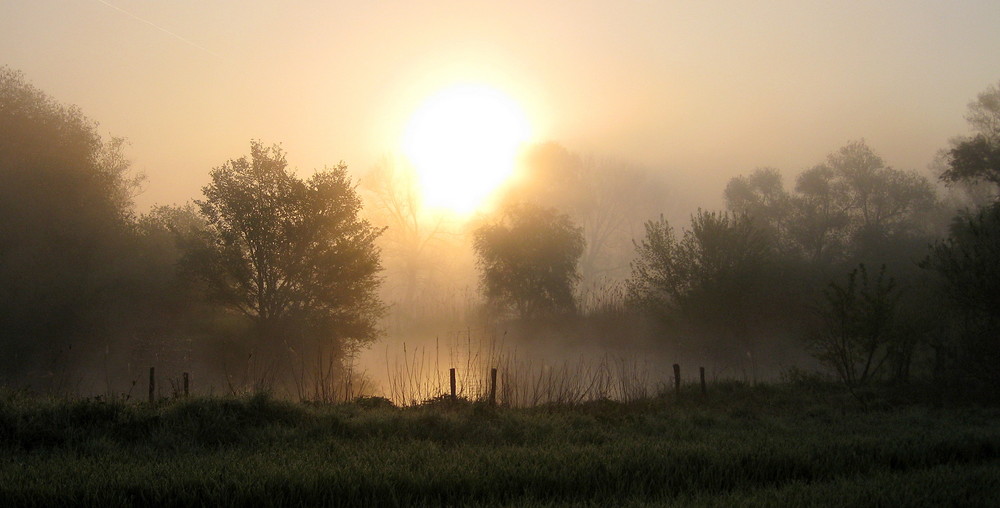 am selben Morgen...