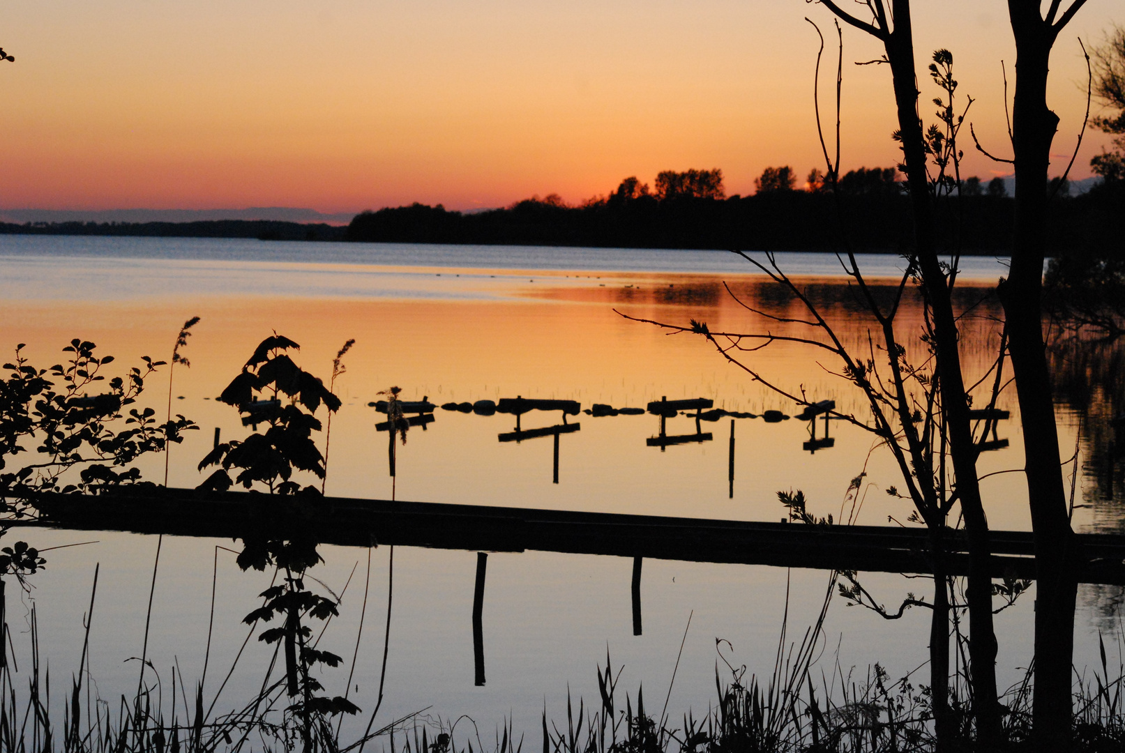 Am Selenter See