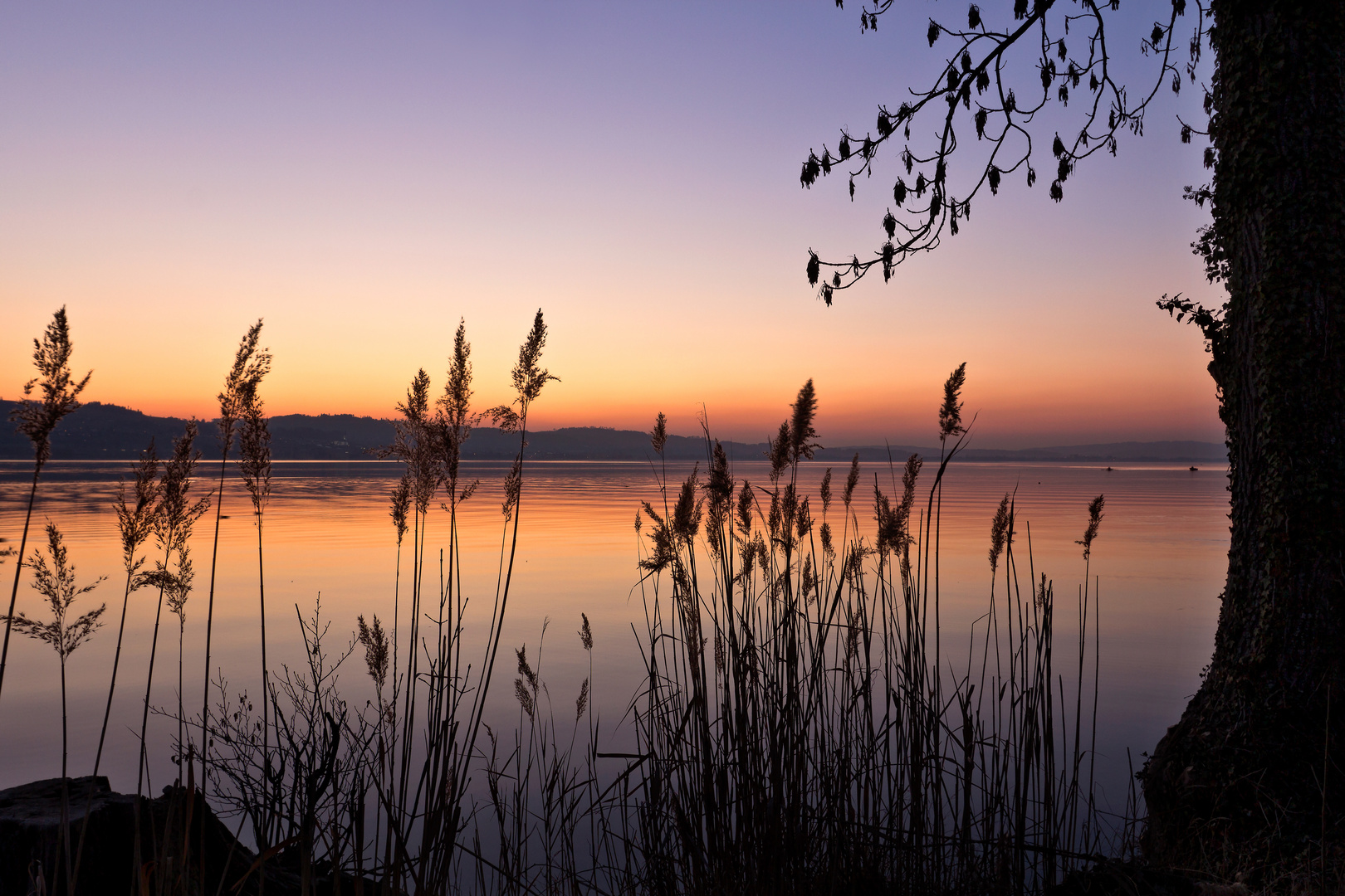 Am Sempachersee