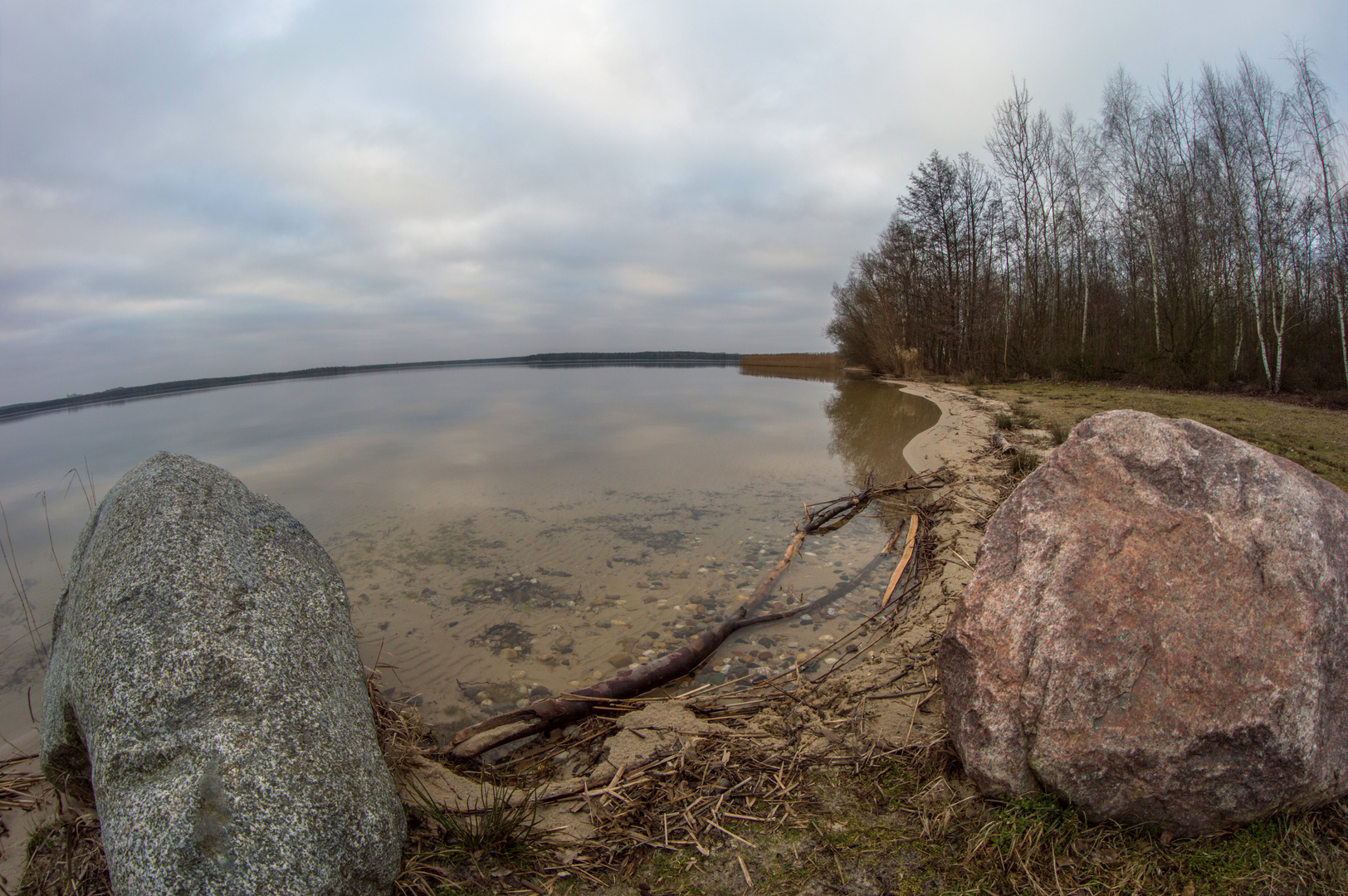 am Senftenberger See