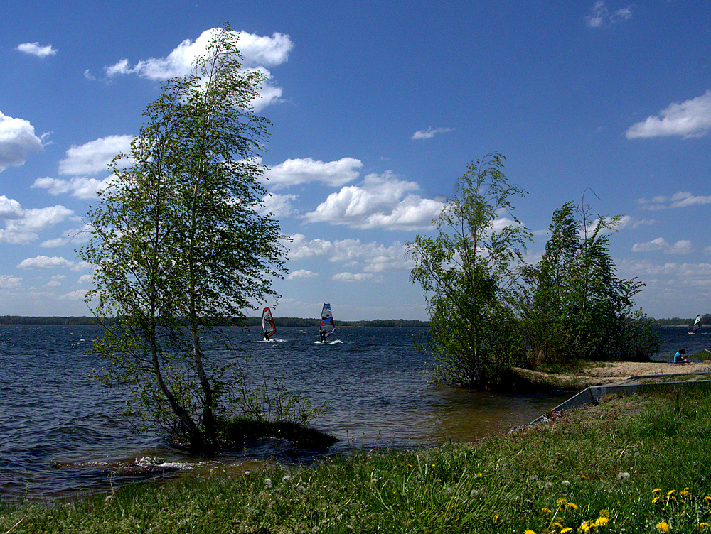 Am  Senftenberger  See